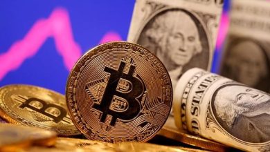 Interesting facts about bitcoins you should know before investing