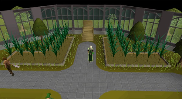 How to Obtain Snape Grass Seeds in OSRS