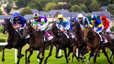 Maximising Profits in Horse Racing: Understanding Betting Markets