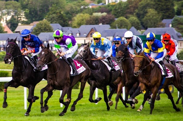 Maximising Profits in Horse Racing: Understanding Betting Markets