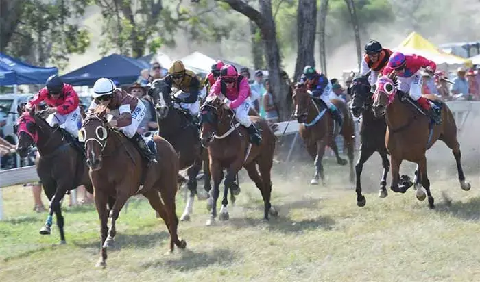 5 Different Types Of Horse Racing Events In Australia