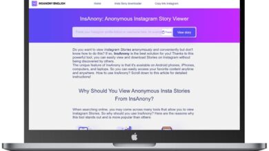 InsAnony - Anonymous Instagram Story Viewer