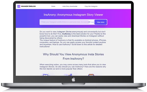 InsAnony - Anonymous Instagram Story Viewer