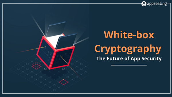 Understanding the benefits of white-box cryptography in modern security