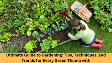 Ultimate Guide to Gardening Tips, Techniques, and Trends for Every Green Thumb with gardenedgingexpert.comblog