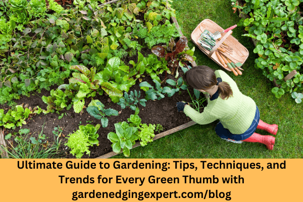 Ultimate Guide to Gardening Tips, Techniques, and Trends for Every Green Thumb with gardenedgingexpert.comblog