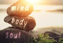 Healing the Mind and Body Understanding Integrative Mental Health Services