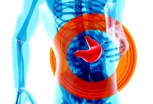 Understanding-Liver-Function-Blood-Tests-What-Your-Results-Really-Mean